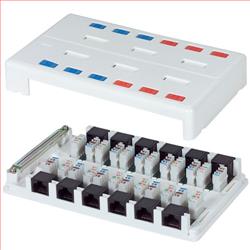 超5类表面安装盒，12个端口，RJ45（8x8）的图片
