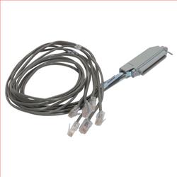 3类Telco分支线缆，Telco母头/6（8×8），3英尺（0.9米）的图片