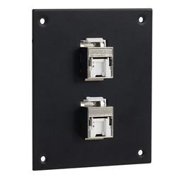 Universal Sub-Panel, 2 110 Shielded Category 5e Tool-less PoE+ Compliant Jacks的图片