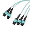 3xMPO8无引脚到2xMPO12无引脚，OM4 50 / 125um多模，LSZH护套，水蓝色，5米的图片